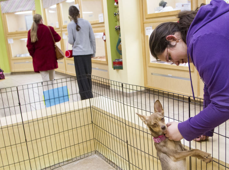 AAWL Mall Adoption Center